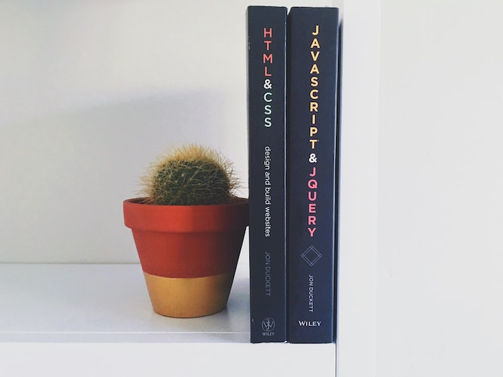 web development books next to a small cactus
